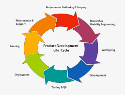 Software Implementation Business Process Reengineering Life Cycle Transparent Png 736x573 Free Download On Nicepng