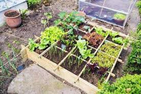 Si es más grande podemos poner. Huerto En Casa Como Hacer Una Huerta Organica Casera