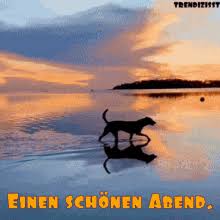 Aber vorher wünsche eine gute nacht den menschen, die du liebst. Abend Gifs Tenor