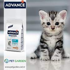 advance cat kitten chicken rice 2 12 aylik yavru kediler ve hamile veya emziren kediler icin ozel formule edilmistir yavru kediler kedi cati
