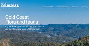 Image result for Dictyophleba ochracea