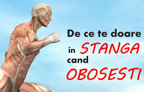 • durere în partea stângă a abdomenului, sub coaste, și sensibilitate la atingerea zonei • instabilitate cardiovasculară manifestată prin tahicardie și amețeli • greață, vărsături, paloare, pierderea cunoștinței. De Ce Te Doare Splina DupÄƒ Efort AflÄƒ Motivele Durerii In Splina MÄƒritÄƒ Libertatea