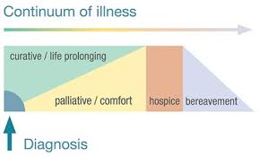 palliative care vs hospice