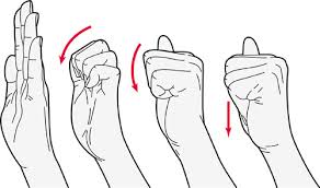 Finger & Wrist Exercises