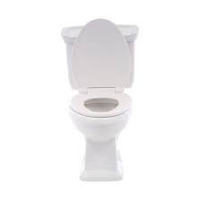 Glacier bay toilets are imported by foremost groups. Glacier Bay 2 Piece Dual Flush Elongated Toilet In White N2430e The Home Depot Glacier Bay Toilet Home Depot
