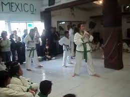 El estudiante a través de las cintas negras intentará acercarse a la perfección, abarca todos los beneficios de los cinturones anteriores, representando la madurez y el conocimiento. Forma Say De Mexico Karate Para Cinta Verde Avanzada Youtube