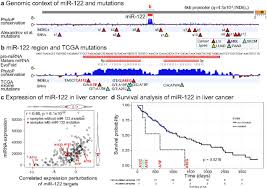 Dna mutations practice worksheet answer key students use both morphology and analysis of dna worksheets feature multiple choice. Pan Cancer Screen For Mutations In Non Coding Elements With Conservation And Cancer Specificity Reveals Correlations With Expression And Survival Biorxiv