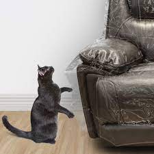 Pin On Dogs Sofas And Chairs