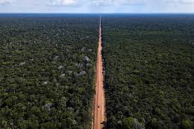 Amazônia: é tempo para uma nova visão - 30/10/2018 - Opinião - Folha