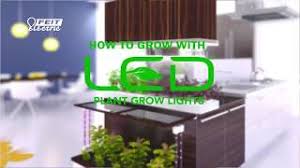 Check spelling or type a new query. How To Grow Like A Pro With Feit Electric Led Grow Lights Youtube