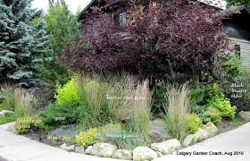 Click pic for larger version! Calgary Garden Coach A Low Maintenance Front Yard Garden In Calgary