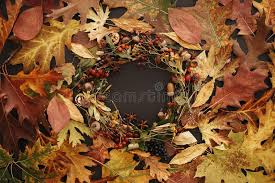 Maple leaves stock photo by dibrova 14 / 158 children playing with autumn fallen leaves in park stock image by inarik 34 / 1,134 thanksgiving fall leaves stock photographs by irisangel 14 / 2,142 autumnal pumpkins,. 907 518 Fall Leaves Photos Free Royalty Free Stock Photos From Dreamstime