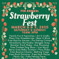 Annual Strawberry Festival - Back in Melbourne