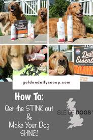 Learn How You Can Keep Your Dog Clean And Smelling Fresh With Isle Of Dogs Shampoo Dry Shampoo And Odor Neutralizing Spray Isle Of Dogs Your Dog Dog Grooming