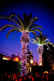 Palm Trees Light Up The Night At Cecconi S West Hollywood Palm Tree Christmas Lights Christmas Lights Outdoor Christmas Lights