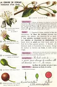 Epingle Sur Ce2 Sci Geo