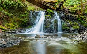 We're not called to be perfect, but our journey compels us to be as much like christ as we possibly can. The River Of Life Shepherd Of Hope