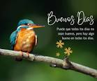 Buenos Días Imágenes, Frases, Mensajes y Tarjetas
