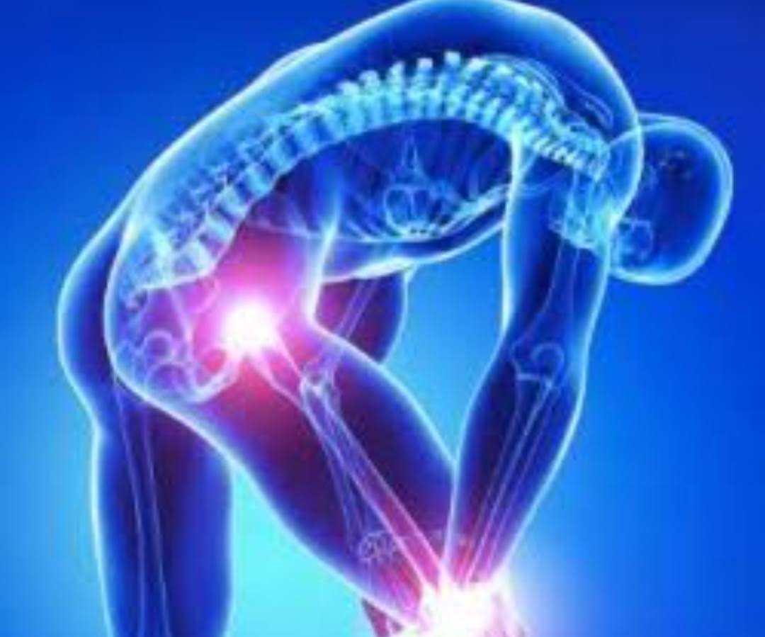 Orthopedic General Medicine product image