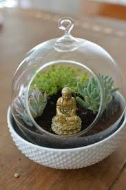 Terrarienpflanzen Der Mini Garten Als Frischer Akzent Im Innenraum Diy Design Dekoration Terrarium Meditation Room Decor