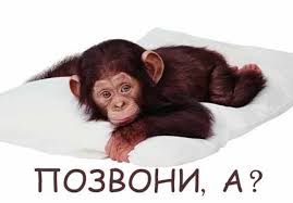 скачать песню позвони мне позвони позвони мне ради бога Https Xn 80adh8aedqi8b8f Xn P1ai D0 Bf D1 80 D0 Be D0 B8 D0 B7 D0 B2 D0 B5 D0 B4 D0 B5 D0 Bd D0 B8 D0 B5 D1 8e D0 Bb D0 B8 D1 8f D1 81 D0 B0 D0 B2 D0 B8 D1 87 D0 B5 D0 B2 D0 B0 D0 Bf D0 Be D0 B7 D0 B2 D0 Be D0 Bd D0 B8 D0 Bc D0 Bd D0 B5 D0 Bf D0 Be D0 B7 D0 B2 D0 Be D0 Bd D0 B8