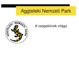 Jun 18, 2021 · (fotó: Ppt Aggteleki Nemzeti Park Powerpoint Presentation Free Download Id 3555969