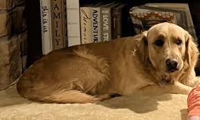 Uncle Eldridge has passed. Please remember his kids and grandchildren in  your prayers. 💔