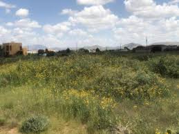 Maybe you would like to learn more about one of these? 5040 Powder River Ln El Paso Tx 79938 15 Photos Mls 851437 Movoto