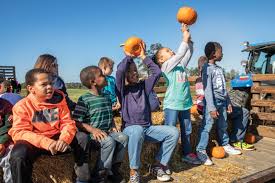 Image result for tbn:0PJB32OL7JwfOM::farm4.static.flickr.com/3324/3329876139_f2d551139f.jpg