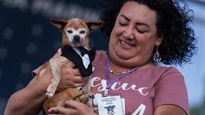 Conoce a Scooter, ganador del concurso El perro más feo del mundo