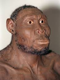 Die ältesten bekannten neandertaler lebten vor rund 400.000 jahre. Neandertaler Dem Modernen Menschen Ebenburtig Br Wissen