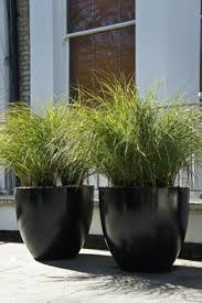 Large outdoor planters that come with an affordable price tag are also great for beginners. 52 Contemporary Garden Pots Ideas Contemporary Garden Garden Pots Garden Design