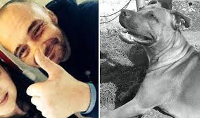 Tragis, 5 Hewan Peliharaan Ini Bunuh Pemilik Mereka : Okezone News