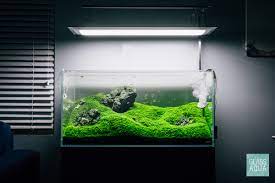 Developed around 30 years ago by famous aquarist takashi amano, this type of aquascape represents not just a minimalist layout, it also reflects the japanese culture, spirituality and love for beauty and simplicity. Ada 90p Planted Aquarium Tank Iwagumi Aquascape Glass Aqua