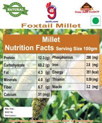 foxtail millet