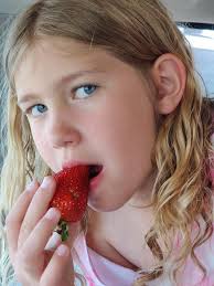 Best strawberries in Mazomanie town