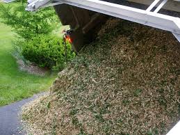 For uniform wood chip mulch, remove leaves and twiggy material and just shred the wood branches. Using Wood Chip Mulch In A Vegetable Garden
