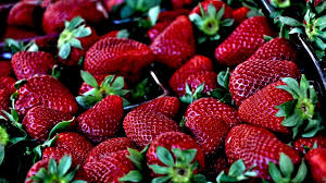 You may or you may not peel it. My Favourite Fruits From Europe Steemit