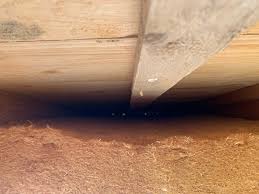 Image result for site:byggahus.se isolerat