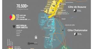 A Simple Guide To Burgundy Wine With Maps Wine Folly Burgundy Wine Map Wine Folly France Wine