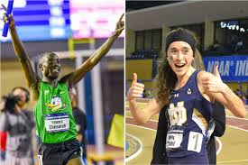 Enrolled in the college of arts & letters and is double majoring in anthropology and environmental sciences. Two College Runners 15 National Titles Spartanova