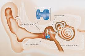Les om årsakene til svimmelhet sammen med medisinene som brukes i behandlingen. Mellomorebetennelse Store Medisinske Leksikon