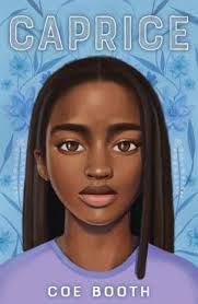 The Boy Project: A Wish Novel