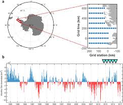Decline in plankton diversity and carbon flux with reduced sea ice extent  along the Western Antarctic Peninsula