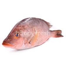 Scan through 17 more translations of petai, ciku, and more: Beli Red Snapper Whole Ikan Merah Dari Giant Hypermarket Happyfresh