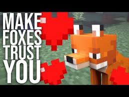 How To Tame Foxes In Survival Minecraft Youtube In 2020 Minecraft Survival Minecraft Minecraft Survival Tips