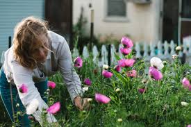 Maybe you would like to learn more about one of these? Creative Ways To Grow A Productive Cutting Garden In A City