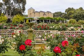 Stunning Rose Gardens Around The World Don T Miss These Rosegardens Roses Traveldestinations Beautiful Gardens Funeral Home Funeral