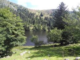 Au premier virage, prendre le chemin forestier à gauche qui mène directement au lac du forlet sur 5 km. Ferme Auberge Du Forlet Bild Von Lac Des Truites Soultzeren Tripadvisor