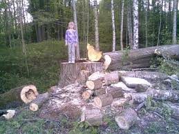 Image result for site:byggahus.se klyva